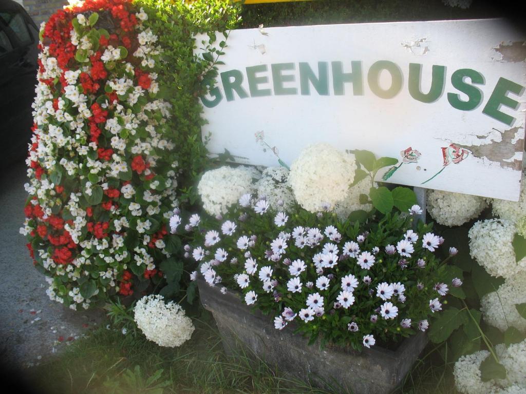 B&B Greenhouse 37 Langemark Exterior photo